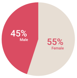 Tech team gender (2021)